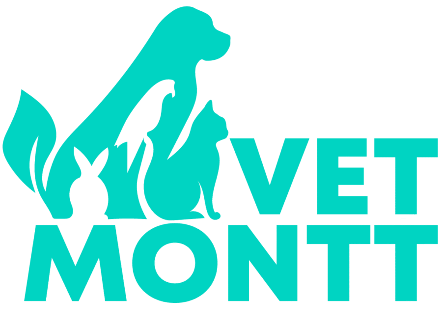 vetmontt